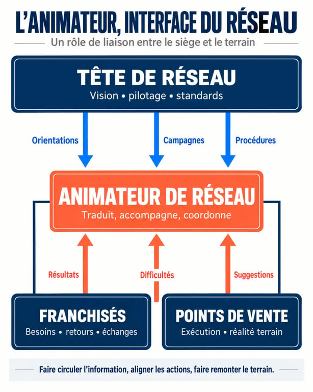 Schéma du rôle d’un animateur de réseau d’affaires entre le siège, les franchisés et les points de vente